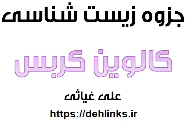 دانلود pdf کالوین کربس در دو دقیقه رایگان | ویژه کنکور