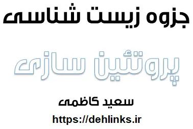 دانلود pdf جزوه پروتئین سازی زیست شناسی سال چهارم رایگان | ویژه کنکور