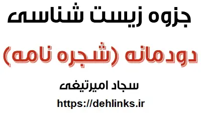 دانلود pdf جزوه شجره نامه (دودمانه) رایگان | ویژه کنکور