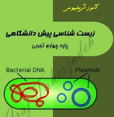 دانلود pdf درسنامه و تست های زیست پیش فصل پروتئین سازی رایگان | ویژه کنکور