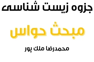 دانلود pdf جزوه زیست مبحث حواس رایگان | ویژه کنکور
