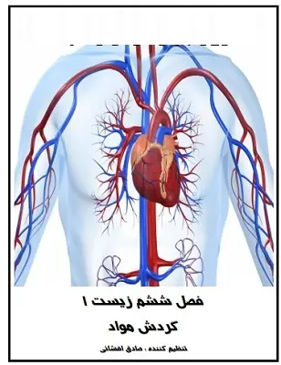 دانلود pdf جزوه زیست شناسی گردش مواد رایگان | ویژه کنکور