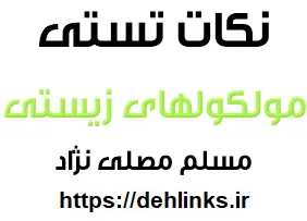 دانلود pdf نکات تستی فصل مولکول های زیستی رایگان | ویژه کنکور