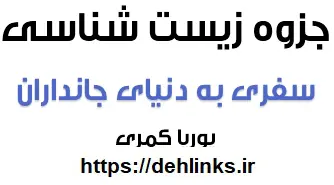دانلود pdf جزوه سفری به دنیای جاندارن زیست رایگان | ویژه کنکور