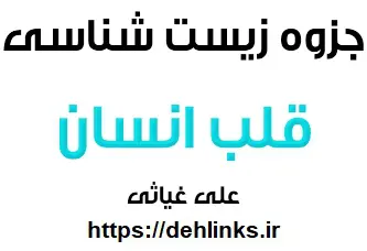 دانلود pdf جزوه زیست مبحث قلب انسان رایگان | ویژه کنکور