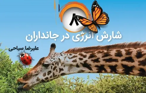 دانلود pdf جزوه کنکوری شارش انرژی در جانداران (فصل ۸ پیش دانشگاهی) رایگان | ویژه کنکور