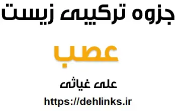 دانلود pdf جزوه ترکیبی عصب رایگان | ویژه کنکور