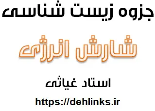 دانلود pdf جزوه زیست شناسی مبحث شارش انرژی رایگان | ویژه کنکور