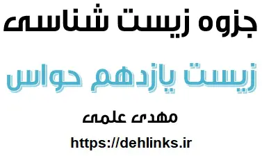 دانلود pdf جزوه زیست یازدهم حواس رایگان | ویژه کنکور