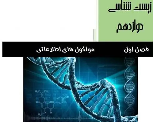 دانلود pdf جزوه مولکولهای اطلاعاتی زیست شناسی دوازدهم رایگان | ویژه کنکور