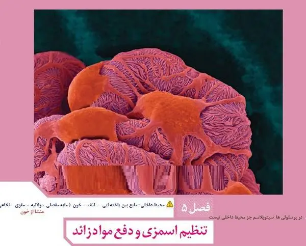 دانلود pdf جزوه نکات عالی زیست دهم دفع مواد رایگان | ویژه کنکور