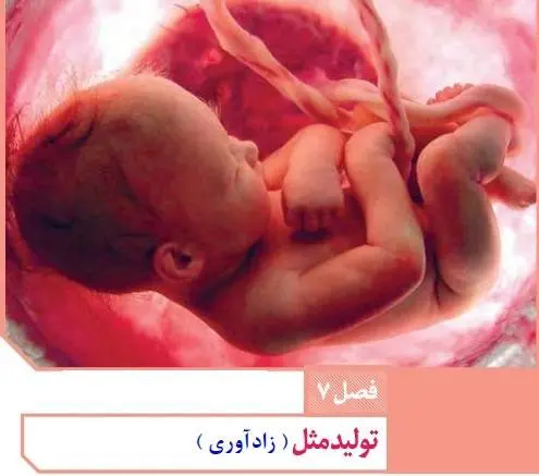 دانلود pdf جزوه نکات عالی زیست یازدهم تولید مثل جانوران رایگان | ویژه کنکور