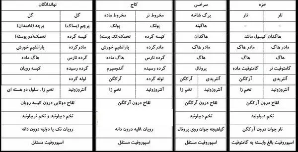 دانلود pdf پیش بینی مطالب مهم زیست کنکور 99 رایگان | ویژه کنکور