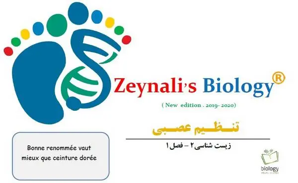 دانلود pdf جزوه تنظیم عصبی زیست شناسی یازدهم رایگان | ویژه کنکور