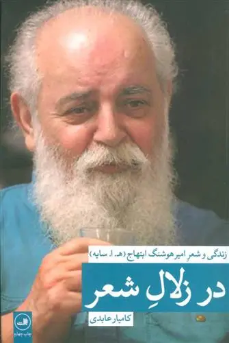 خرید و قیمت کتاب در زلال شعر اثر کامیار عابدی