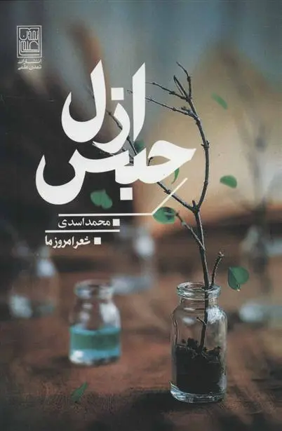 دانلود pdf کتاب حبس ازل محمد اسدی