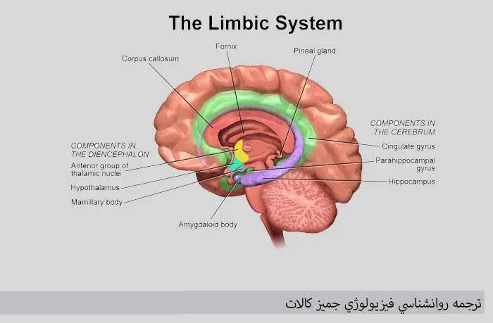 دانلود pdf کتاب روانشناسي فيزيولوژي جمیز کالات