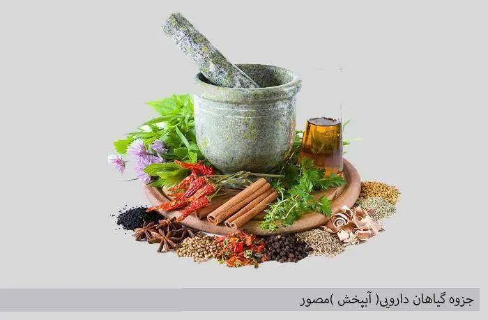 دانلود pdf کتاب گیاهان دارویی مصور