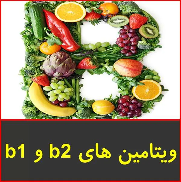 دانلود پاورپوینت ویتامین های B1 و B2