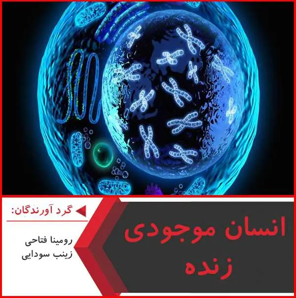 دانلود پاورپوینت انسان، موجودی زنده