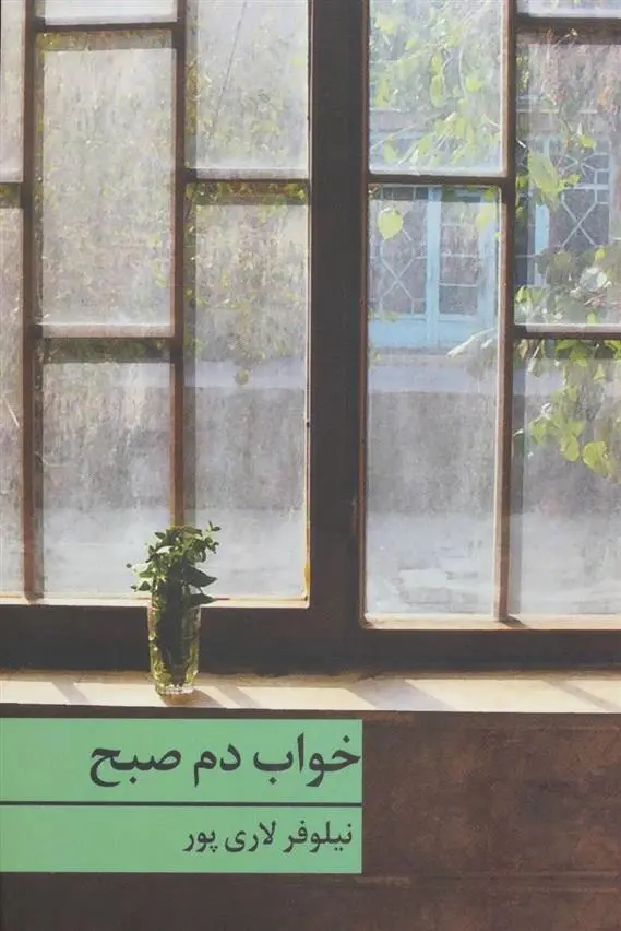 دانلود pdf کتاب خواب دم صبح نیلوفر لاری پور