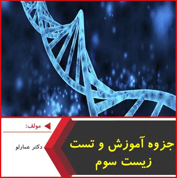دانلود pdf جزوه زیست شناسی سال سوم|عمارلو