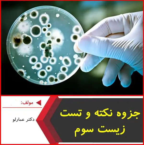 دانلود pdf جزوه نکته و تست زیست شناسی سوم|دکتر عمارلو
