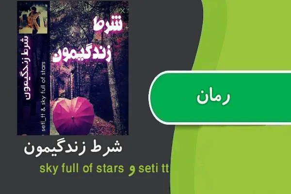 دانلود pdf کتاب رمان شرط زندگیمون