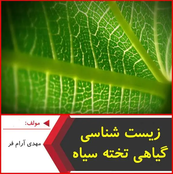 دانلود pdf کتاب زيست شناسي گياهي تخته سياه|آرام فر