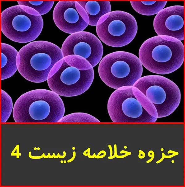 دانلود pdf جزوه خلاصه زیست ۴
