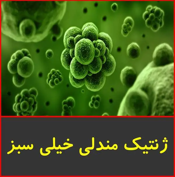 دانلود pdf کتاب ژنتیک مندلی خیلی سبز
