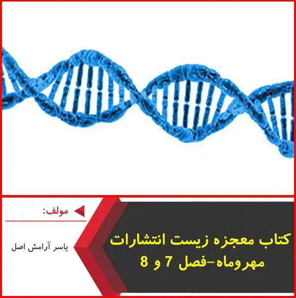 دانلود pdf کتاب معجزه زیست مهر و ماه فصل ۷ و ۸ |یاسر آرامش
