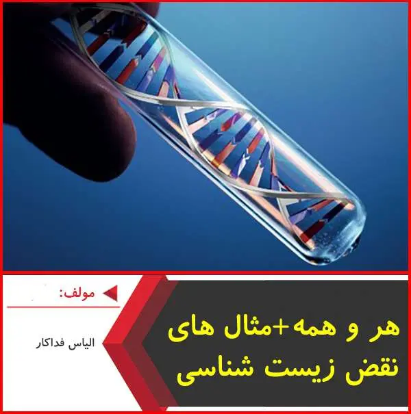 دانلود pdf جزوه هر،همه و مثال نقض های زیست|فداکار