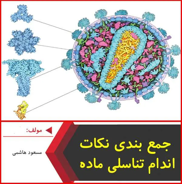 دانلود pdf جزوه جمع بندی نکات اندام تناسلی ماده|هاشمی