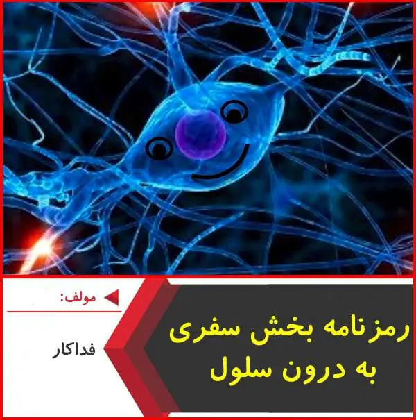دانلود pdf کتاب رمزنامه سفری به درون سلول|الیاس فداکار