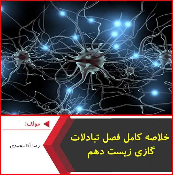 دانلود pdf جزوه خلاصه کامل تبادلات گازی|آقا محمدی