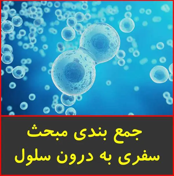 دانلود pdf جزوه جمع بندی سفری به درون سلول|اقبال