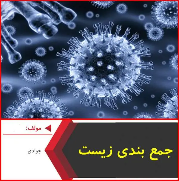 دانلود pdf جزوه جمع بندی زیست|جوادی