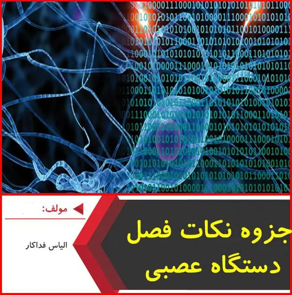 دانلود pdf جزوه نکات دستگاه عصبی|الیاس فداکار