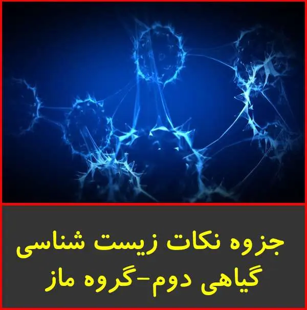 دانلود pdf جزوه جمع بندی نکات زیست گیاهی سال سوم