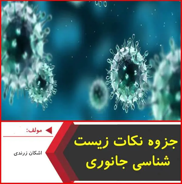 دانلود pdf جزوه نکات زیست جانوری|اشکان زرندی