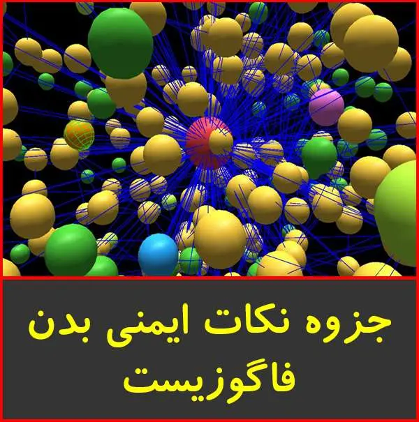 دانلود pdf جزوه نکات ایمنی بدن|فاگوزیست