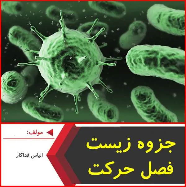 دانلود pdf جزوه جمع بندی فصل حرکت زیست|فداکار