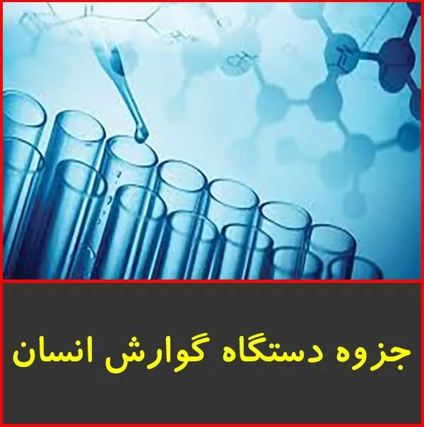 دانلود pdf جزوه دستگاه گوارش زیست کنکور