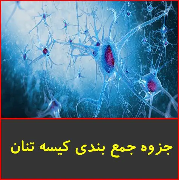 دانلود pdf جزوه جمع بندی مبحث کیسه تنان زیست