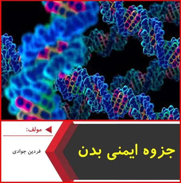 دانلود pdf جزوه جمع بندی ایمنی بدن-زیست|جوادی
