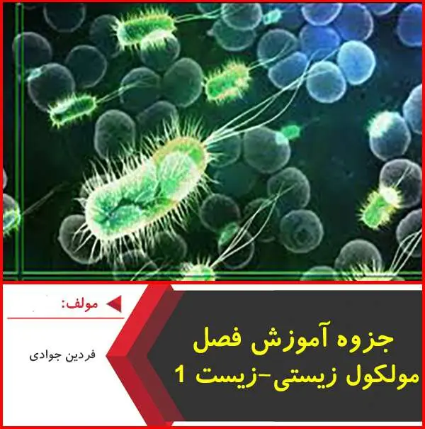 دانلود pdf کتاب آموزش فصل مولکول های زیستی|فردین جوادی
