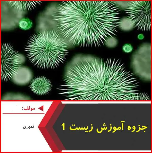 دانلود pdf جزوه آموزش زیست شناسی ۱|قدیر زاده