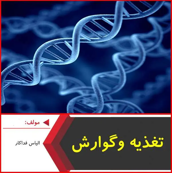 دانلود pdf جزوه تکنیک های طلایی تغذیه و گوارش|فداکار
