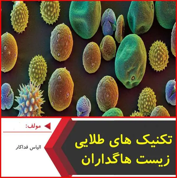 دانلود pdf جزوه تکنیک های طلایی هاگداران|فداکار